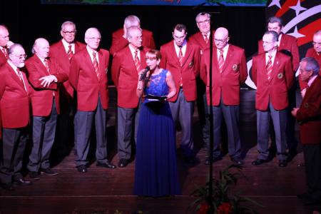 Cantando il Natale per chi soffre - 18-12-2015 - 0013.JPG